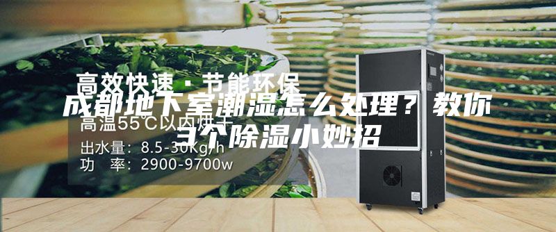 成都地下室潮湿怎么处理？教你3个除湿小妙招