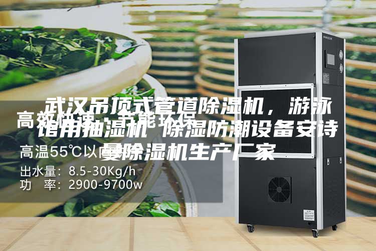 武汉吊顶式管道除湿机，游泳馆用抽湿机 除湿防潮设备安诗曼除湿机生产厂家