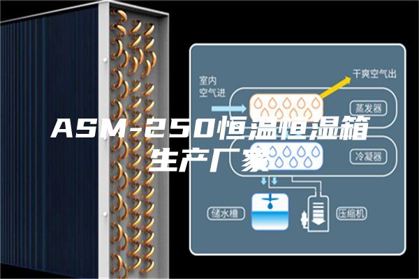 ASM-250恒温恒湿箱生产厂家