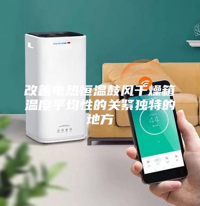 改善电热恒温鼓风干燥箱温度平均性的关紧独特的地方