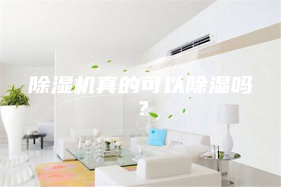除湿机真的可以除湿吗？