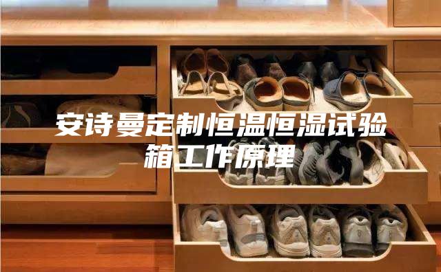 安诗曼定制恒温恒湿试验箱工作原理