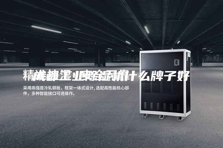 成都工业除湿机什么牌子好