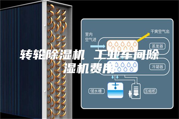 转轮除湿机 工业车间除湿机费用