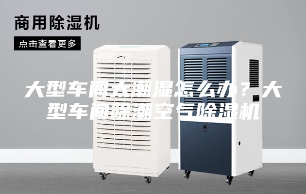 大型车间太潮湿怎么办？大型车间除潮空气除湿机