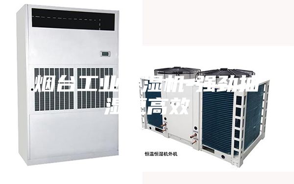烟台工业除湿机-强劲抽湿更高效