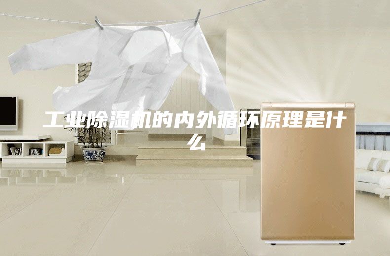 工业除湿机的内外循环原理是什么
