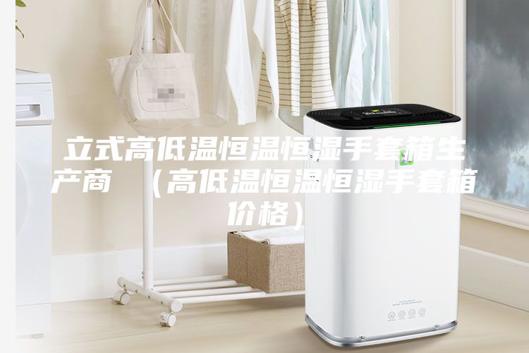 立式高低温恒温恒湿手套箱生产商 （高低温恒温恒湿手套箱价格）