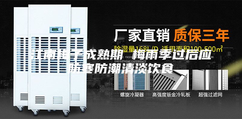 江南梅子成熟期 梅雨季过后应防寒防潮清淡饮食
