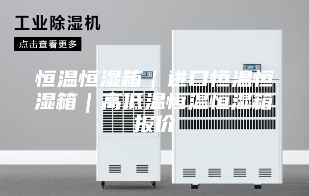 恒温恒湿箱｜进口恒温恒湿箱｜高低温恒温恒湿箱报价
