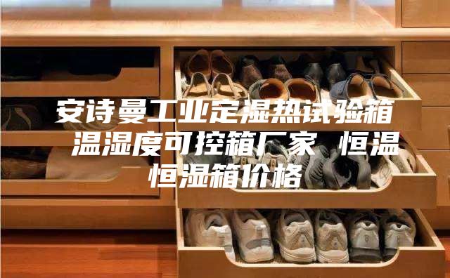 安诗曼工业定湿热试验箱 温湿度可控箱厂家 恒温恒湿箱价格