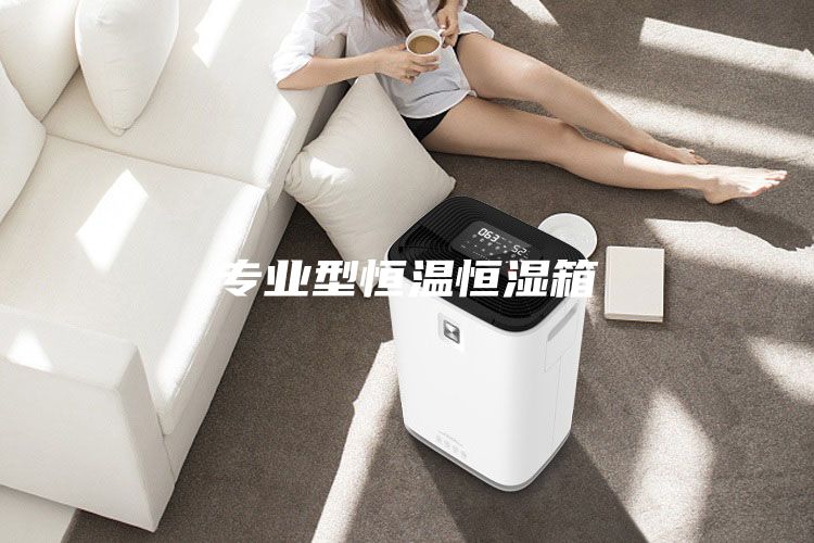 专业型恒温恒湿箱