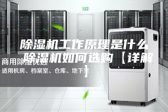 除湿机工作原理是什么 除湿机如何选购【详解】