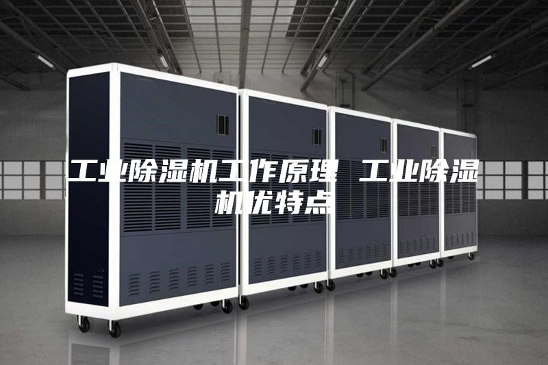 工业除湿机工作原理 工业除湿机优特点