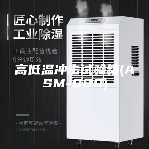 高低温冲击试验箱(ASM-080)