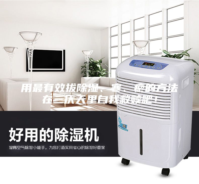 用最有效拔除湿、寒、瘀的方法在三伏天里自我救赎吧！