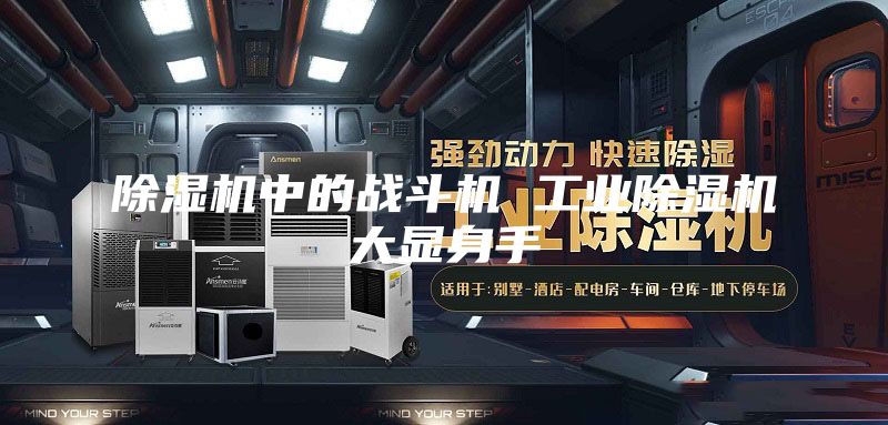 除湿机中的战斗机 工业除湿机大显身手
