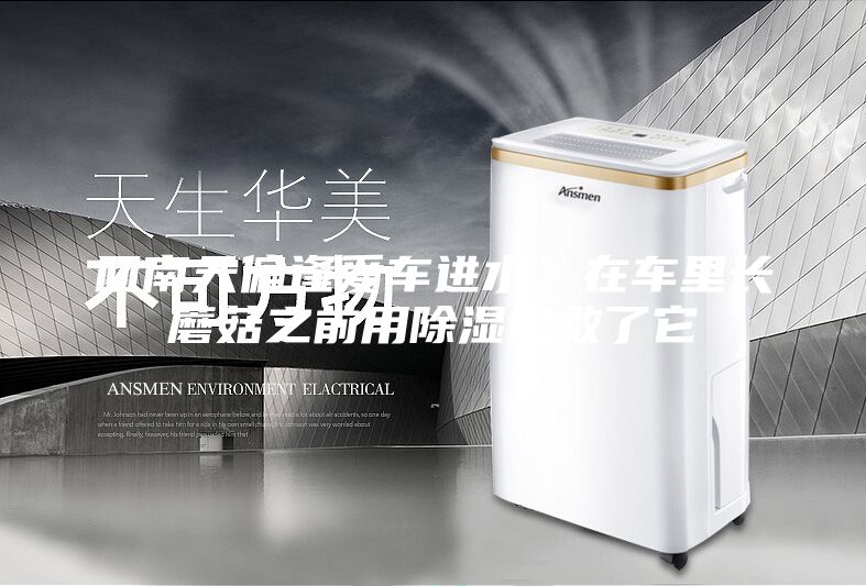 回南天偏逢爱车进水，在车里长蘑菇之前用除湿机救了它
