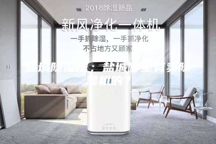 盐城除湿器；盐城哪里有卖除湿机的？