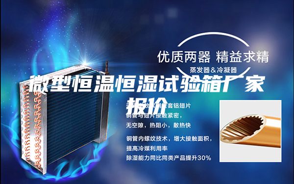 微型恒温恒湿试验箱厂家报价