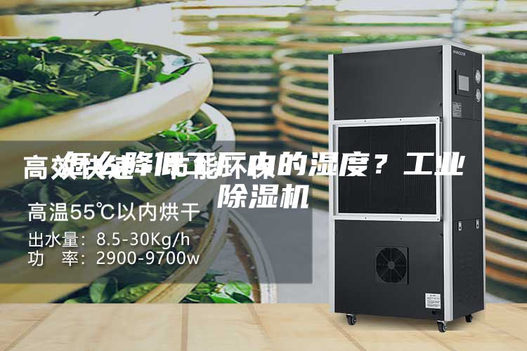 怎么降低工厂内的湿度？工业除湿机