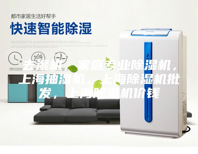去湿机，家庭专业除湿机，上海抽湿机，上海除湿机批发，上海除湿机价钱