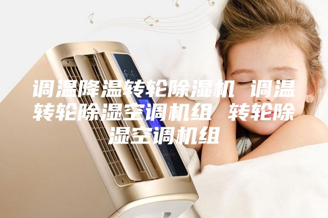 调温降温转轮除湿机 调温转轮除湿空调机组 转轮除湿空调机组
