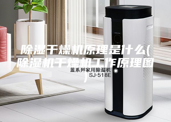除湿干燥机原理是什么(除湿机干燥机工作原理图)