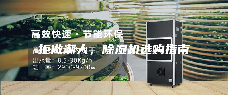 拒做潮人，除湿机选购指南