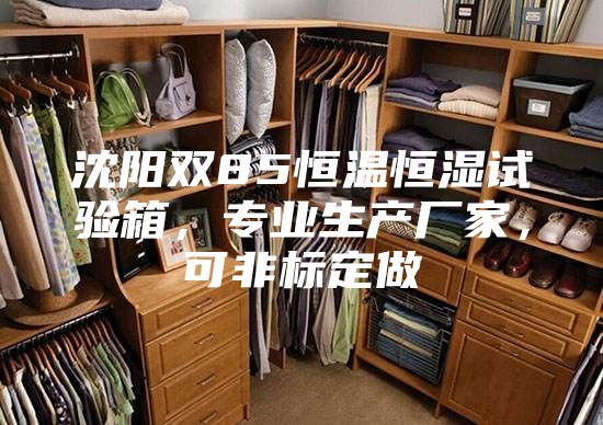 沈阳双85恒温恒湿试验箱，专业生产厂家，可非标定做