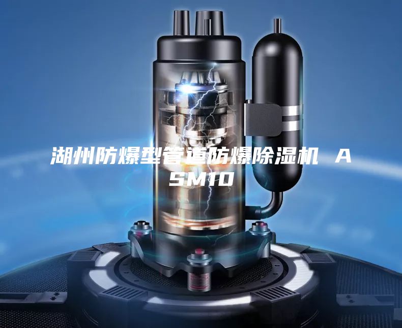 湖州防爆型管道防爆除湿机 ASM10