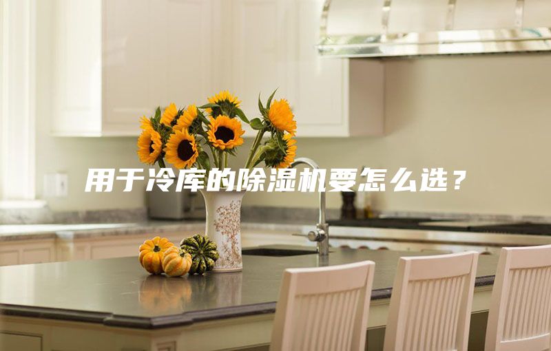 用于冷库的除湿机要怎么选？