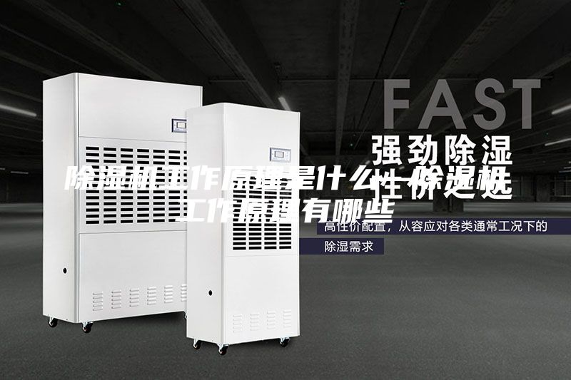 除湿机工作原理是什么—除湿机工作原理有哪些