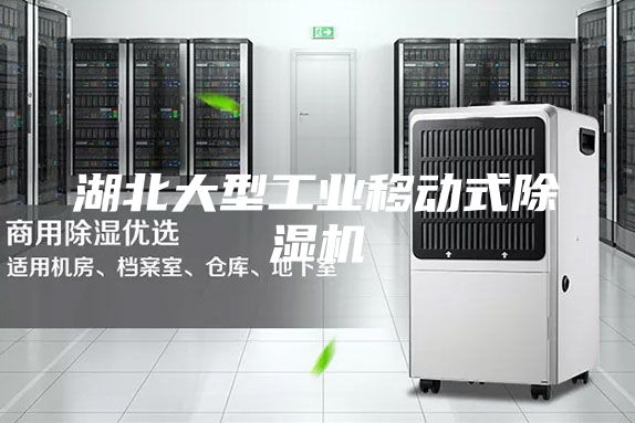 湖北大型工业移动式除湿机
