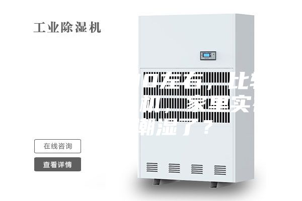 求推荐1500左右，比较实用的除湿机，家里实在是太潮湿了？