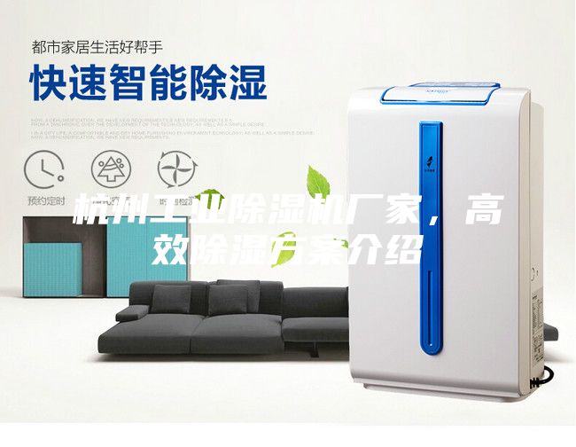 杭州工业除湿机厂家，高效除湿方案介绍