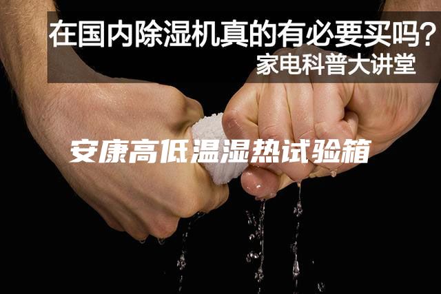 安康高低温湿热试验箱