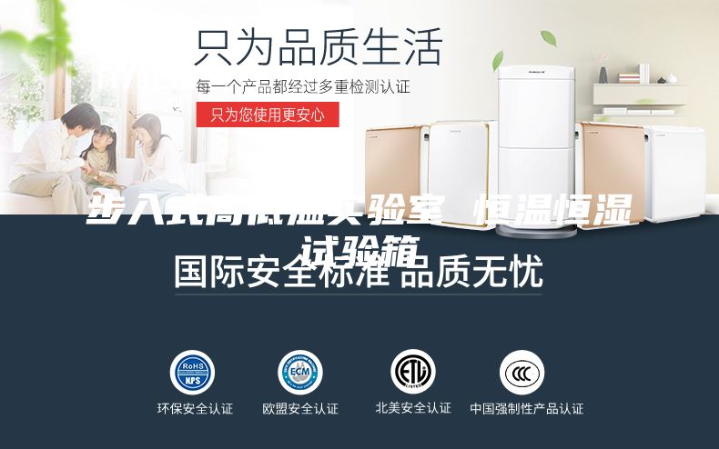 步入式高低温实验室 恒温恒湿试验箱