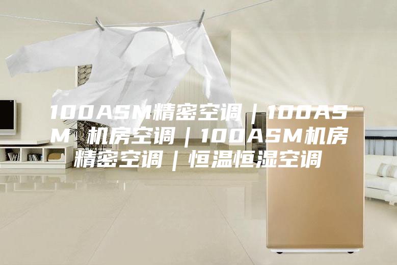 100ASM精密空调｜100ASM 机房空调｜100ASM机房精密空调｜恒温恒湿空调