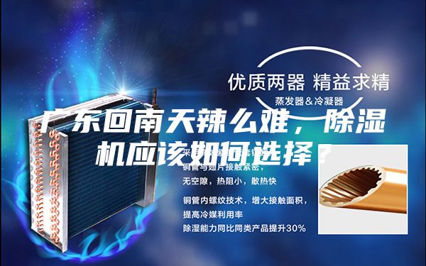 广东回南天辣么难，除湿机应该如何选择？