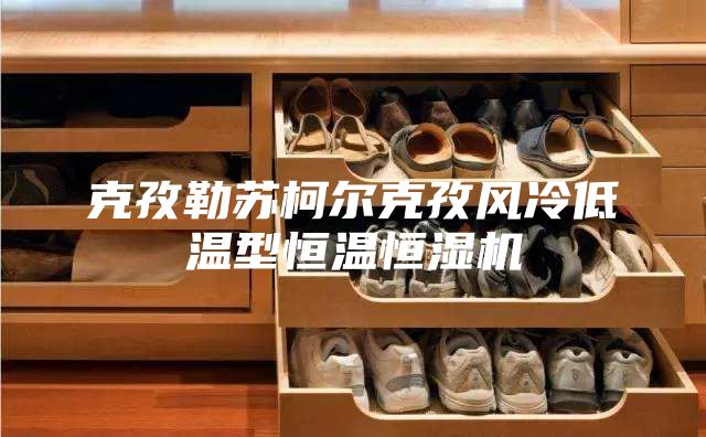 克孜勒苏柯尔克孜风冷低温型恒温恒湿机