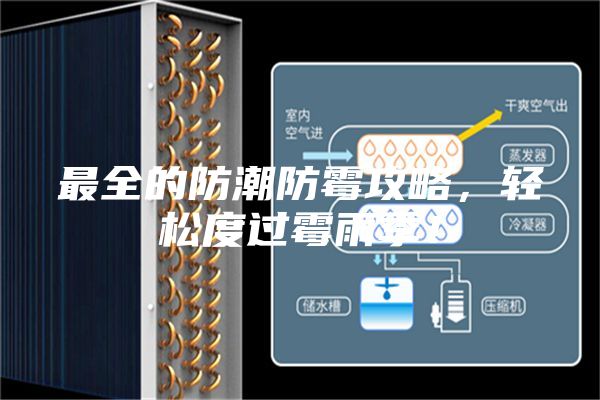 最全的防潮防霉攻略，轻松度过霉雨季！