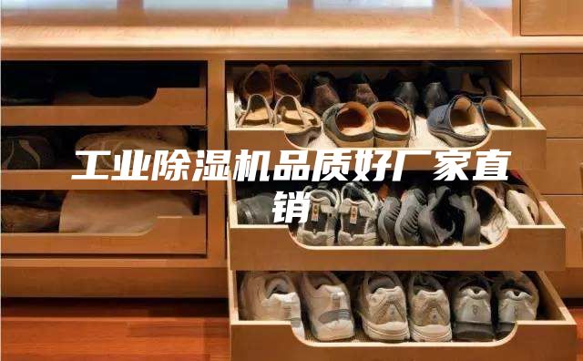 工业除湿机品质好厂家直销
