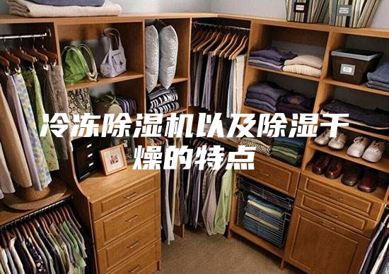 冷冻除湿机以及除湿干燥的特点