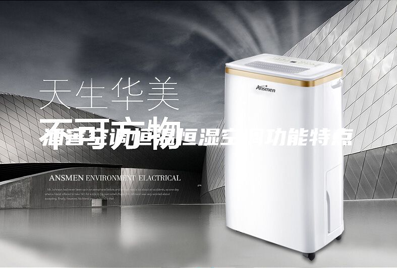 酒窖空调恒温恒湿空调功能特点