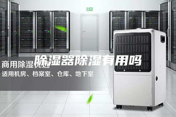 除湿器除湿有用吗