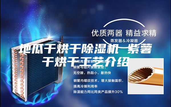 地瓜干烘干除湿机 紫薯干烘干工艺介绍