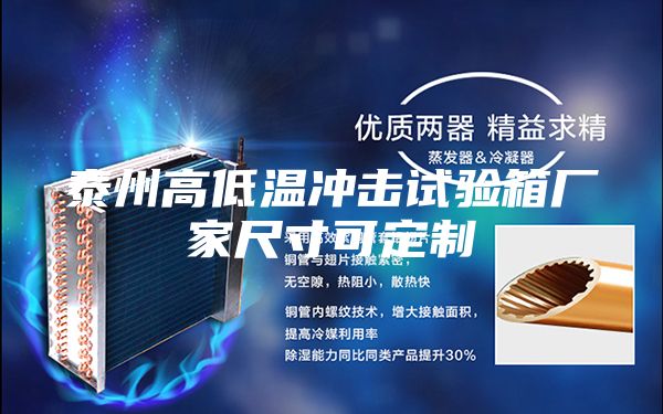 泰州高低温冲击试验箱厂家尺寸可定制