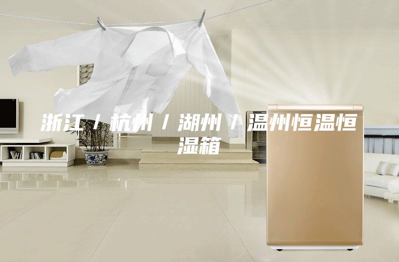 浙江／杭州／湖州／温州恒温恒湿箱