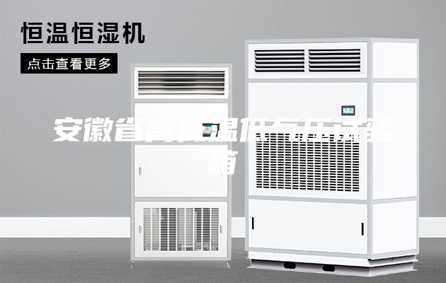 安徽省高低温低气压试验箱
